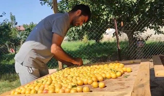 Iğdır’da güneşte kurutulan meyveler pazarda satılıyor