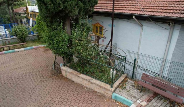Osmanlı’nın önemli aliminin kabri, yalnızlığa terk edildi