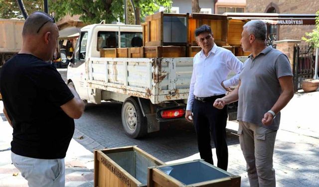 Söğüt’te çevre düzenlemesi sürüyor