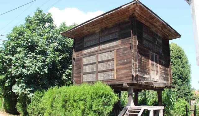 Yıllara meydan okuyan ahşap depo: Serendi