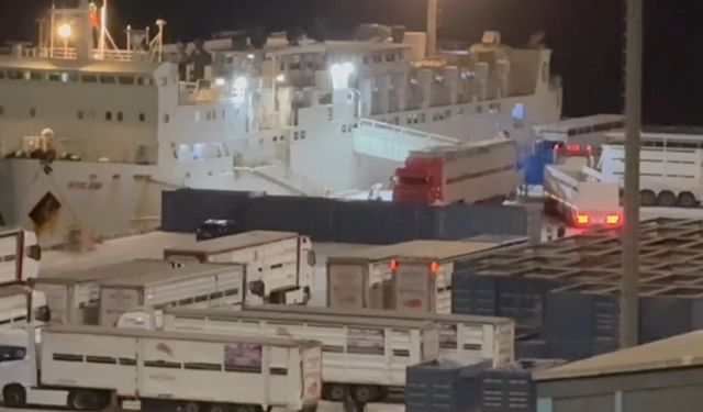 "Yüzen Ahır" yine Bandırma’da: Çelebi Limanı’na tepkiler büyüyor