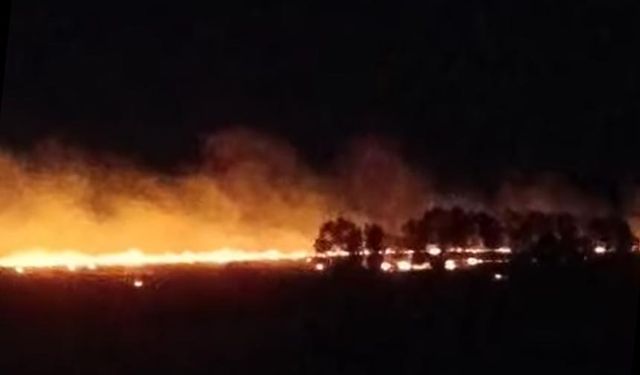 ASAYİŞ