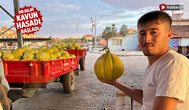 Kızılırmak'ın meşhur kavunu bu yıl üreticinin yüzünü güldürmedi