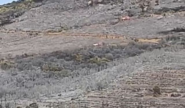 Bursa’daki orman yangını söndürüldü