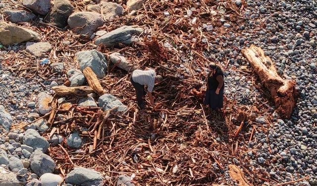 Derelerin Karadeniz’e taşıdığı ağaç kütüğü ve odunlar Rizeliler’in kışlık yakacağı oldu