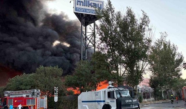 ASAYİŞ