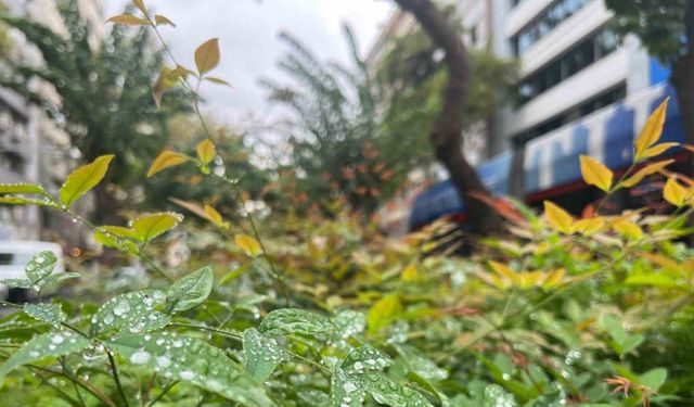 Kuraklıkla mücadele eden İzmir’de yağmur serinliği