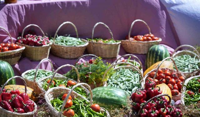 Uluslararası Çubuk Turşu ve Kültür Festivali başladı
