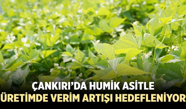 Çankırı’da humik asitle üretimde verim artışı hedefleniyor