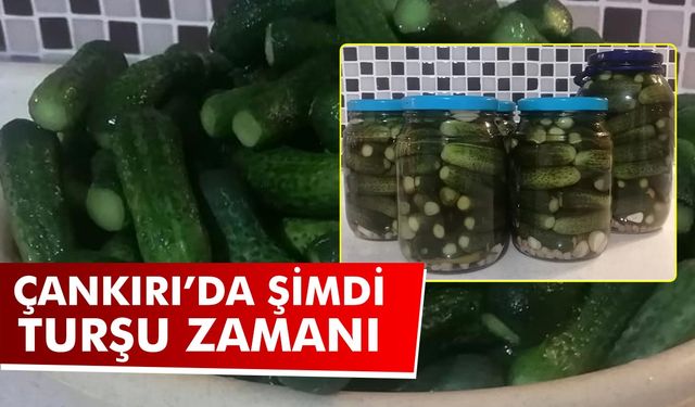 EKONOMİ