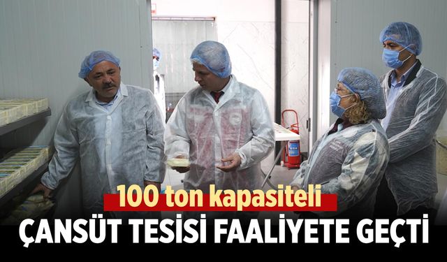 EKONOMİ