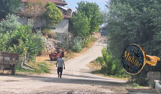 ASAYİŞ