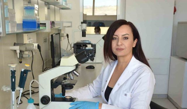 ’Candida auris’e karşı Türkiye’nin en kapsamlı araştırması tamamlandı