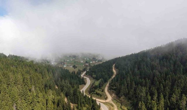 Doğu Karadeniz Bölgesinde heyelan alarmı