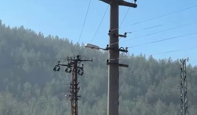 Trafik cezasına öfkelenen sürücü elektrik direğine çıktı