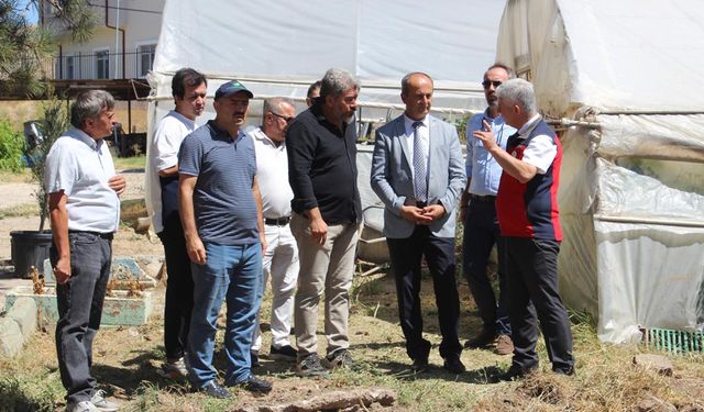 EĞİTİM