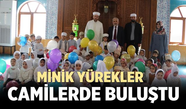 EĞİTİM