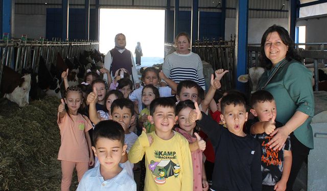 EĞİTİM