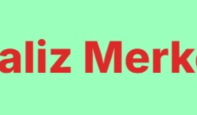 Veriyi Anlamlandırmanın En Kolay Yolu: SPSS Analizi ile Bilimsel Güven