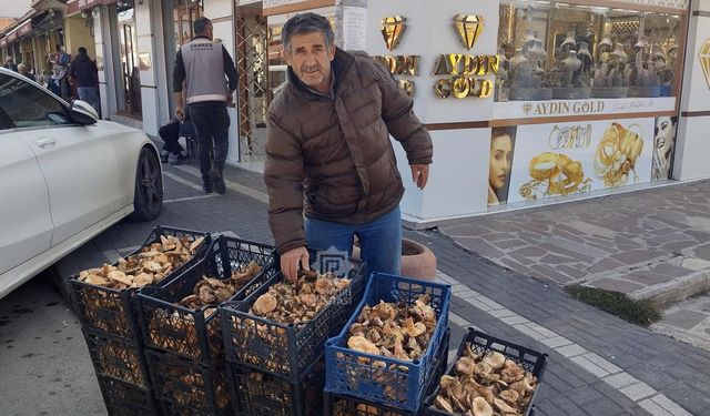 Çankırı’da Yılın İlk Kanlıca Mantarı Tezgâhta