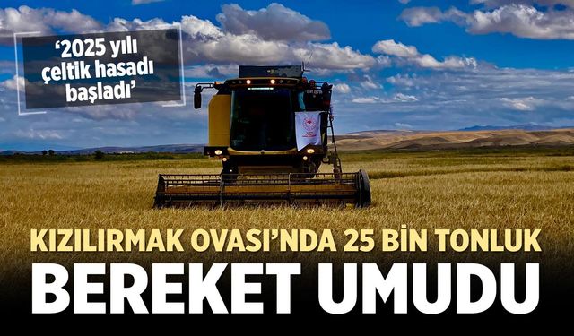 Kızılırmak Ovası’nda 2025 yılı çeltik hasadı törenle başladı
