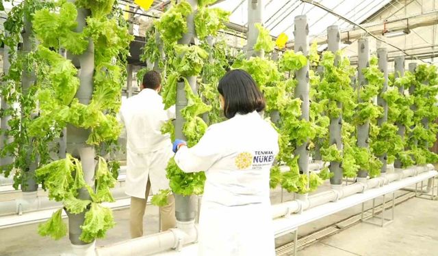 Gıda Güvenliğine ‘TENMAK’ dokunuşu