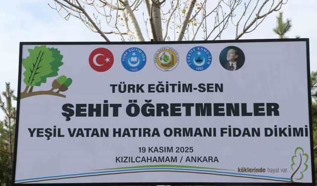 Türk Eğitim-Sen Genel Başkanı Geylan: "Maalesef her yıl on binlerce hektarımız yanıyor"