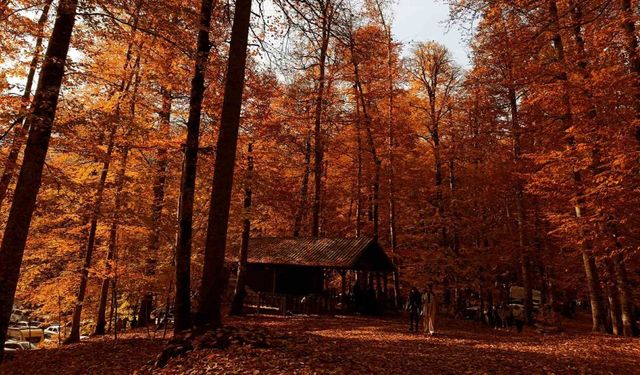 Yedigöller Milli Parkı ziyaretçi akınına uğradı