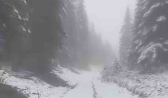 Karabük’ün yüksek kesimlerinde kar yağışı devam ediyor