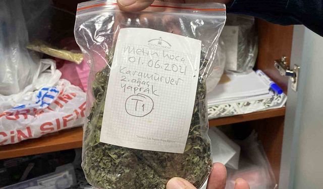 Türkiye'nin en zengin tıbbi aromatik merkezi Eskişehir'de