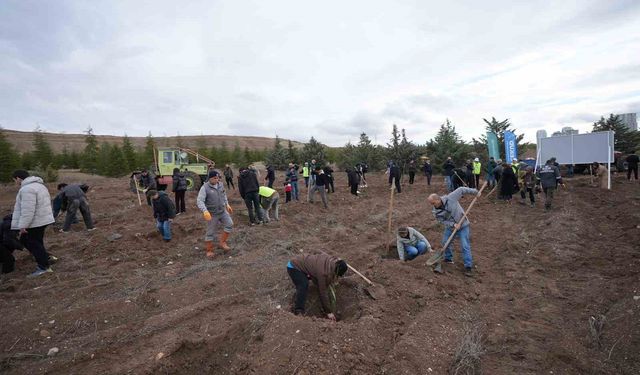 TUSAŞ şehitleri anısına binlerce fidan toprakla buluştu