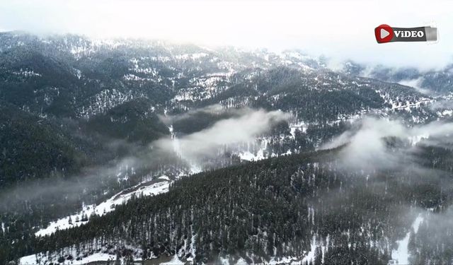 Beyaza bürünen Ilgaz Dağı havadan görüntülendi