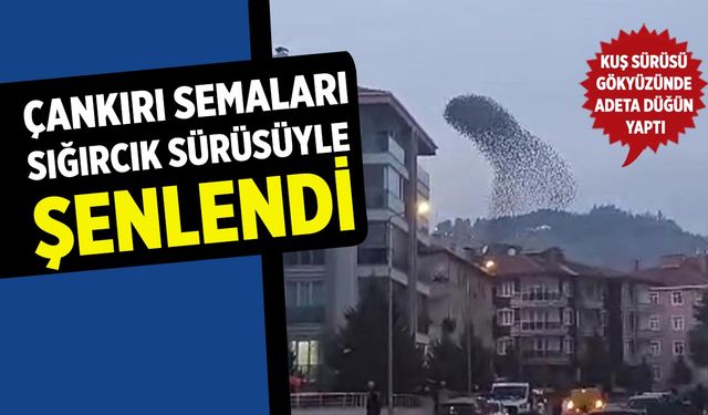 Çankırı’da sığırcık sürüsünden gökyüzünde görsel şölen