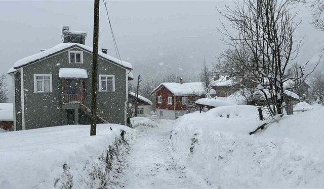 Kastamonu’da kar 167 köy yolunu ulaşıma kapattı