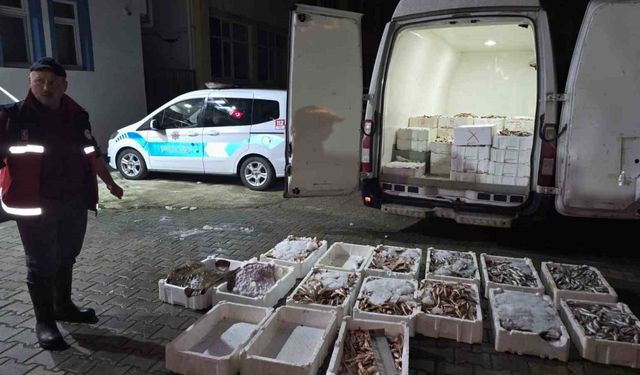 Kastamonu’da yasa dışı avlanan 1,5 ton balığa el konuldu