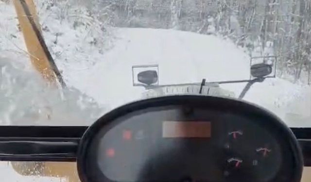 Kastamonu'da kar 243 köy yolunu ulaşıma kapattı