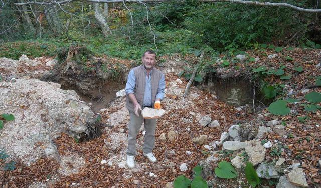 Kastamonu'daki gizemli yer altı yapıları definecilerin talanına uğradı
