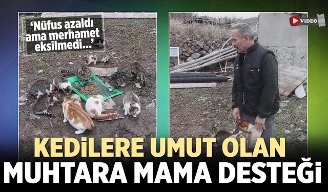 Çankırı’da Kedilere Umut Olan Muhtara Mama Desteği