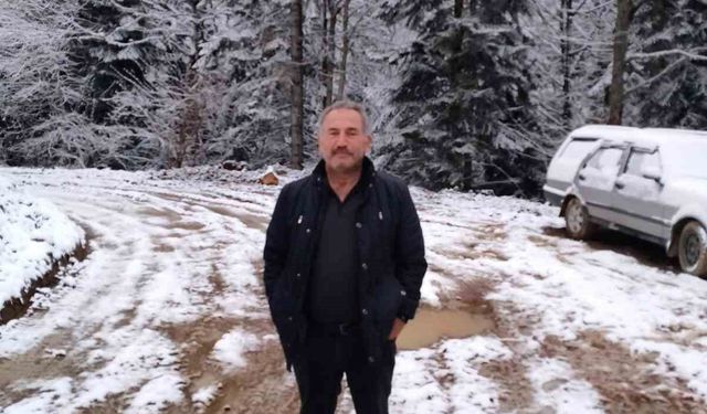 Devrilen ağacın altında kalan işçi hayatını kaybetti