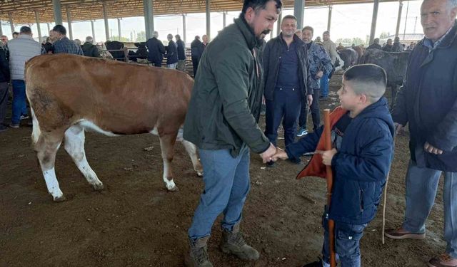 Iğdır'da kurban pazarlıkları sürüyor: Vatandaş küçükbaşa yöneldi