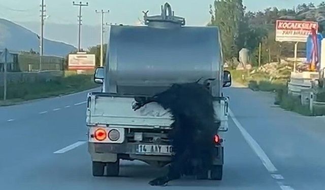 ASAYİŞ
