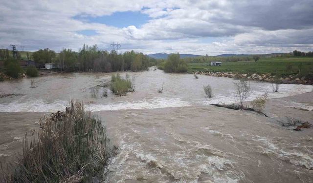 Türkiye'nin en uzun nehri Kızılırmak'ı besleyen Yıldız Irmağı coştu