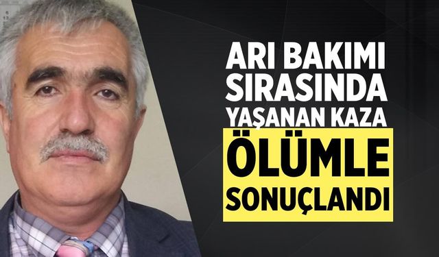 ASAYİŞ
