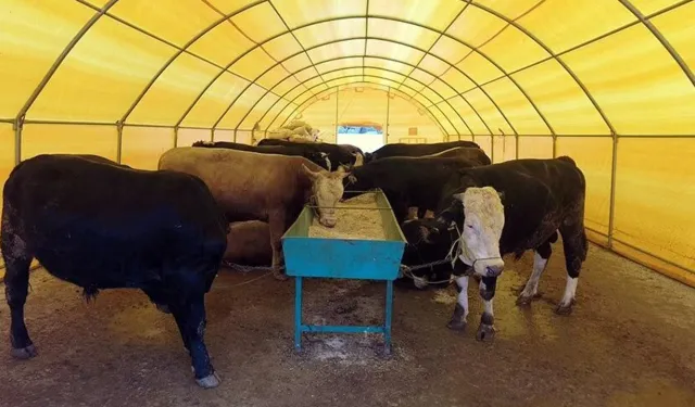 Kurban Bayramı Öncesi Çankırı Valiliği’nden Önemli Uyarı