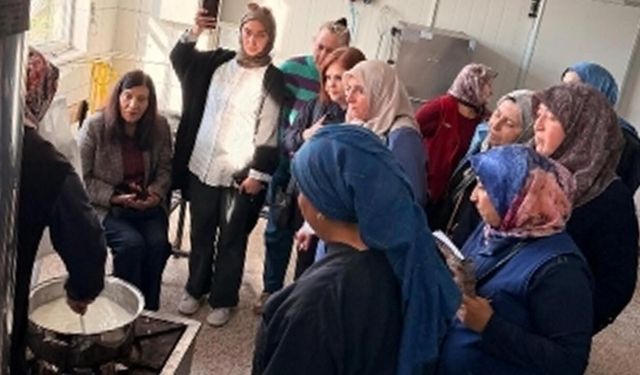 EĞİTİM