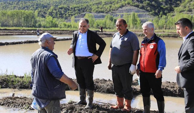 Çankırı Valisi Çakırtaş Ilgaz’da İncelemelerde Bulundu