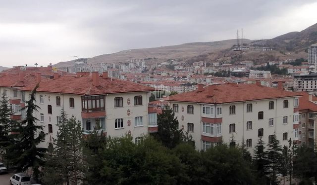 EKONOMİ