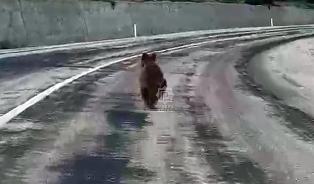 ÇEVRE