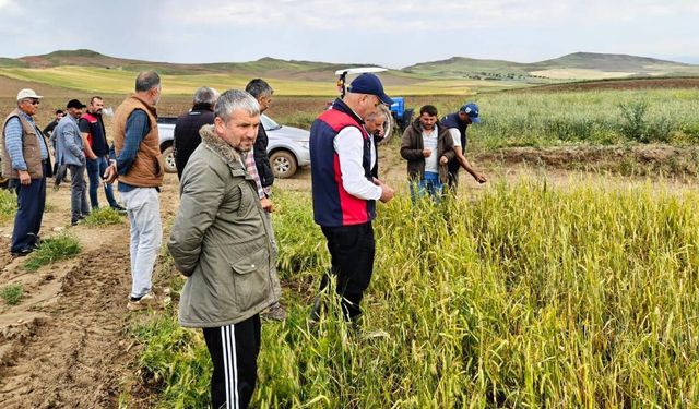 Kızılırmak’ta Üreticiler İçin Hasar Tespit Çalışması Başladı
