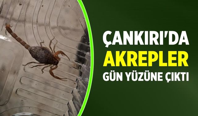 GÜNDEM